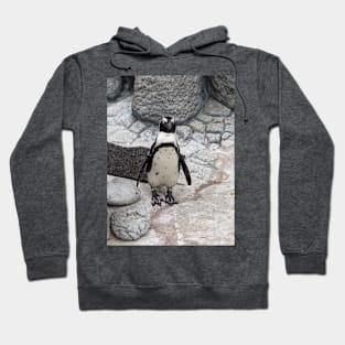 Penguin Hoodie